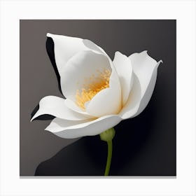 Petal Canvas Print