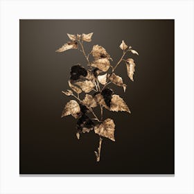 Gold Botanical Silver Birch on Chocolate Brown n.4215 Canvas Print
