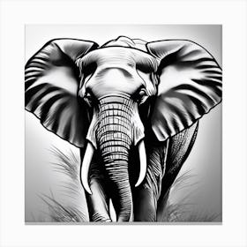 Elephant In The Grass Canvas Print