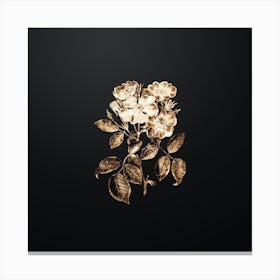 Gold Botanical Rose Clare Flower on Wrought Iron Black n.4755 Canvas Print