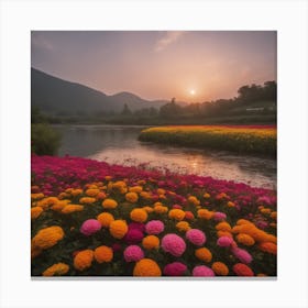 Sunset In A Flower Field 1 Canvas Print