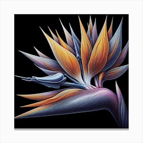 Flower of Bird of Paradise 8 Canvas Print