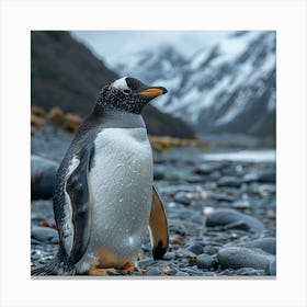 King Penguin 1 Canvas Print