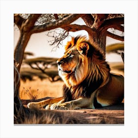 Lion Laying Under Tree Canvas Print