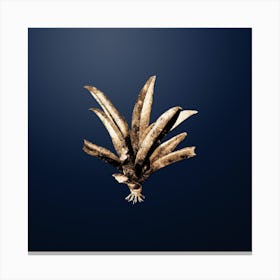 Gold Botanical Boat Lily on Midnight Navy n.4799 Canvas Print
