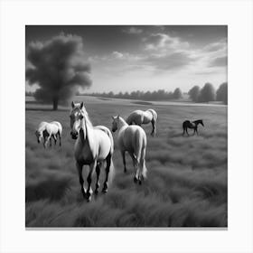 Horses In The Field 9 Canvas Print