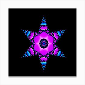 Fractal Star 2 Leinwandbilder