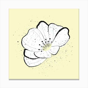 Yellow Bloom Canvas Print