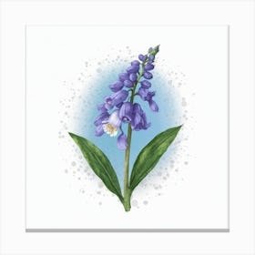 Bluebells Canvas Print