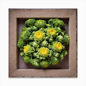 Florets Of Broccoli 17 Canvas Print