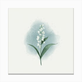 Lily Of The Valley 1 Canvas Print