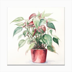 Red Potted Plant Canvas Print