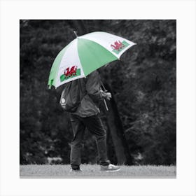 Its got to Be Welsh Canvas Print