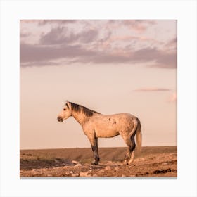 Wild Horse Sunset Square Canvas Print