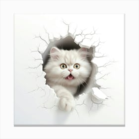 White Cat In A Hole Canvas Print