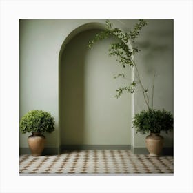 Room With Plants Canvas Print