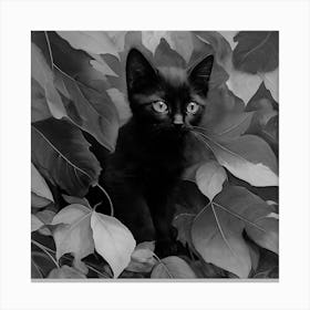 Black and White Black Kitten In Leaves 2 Canvas Print