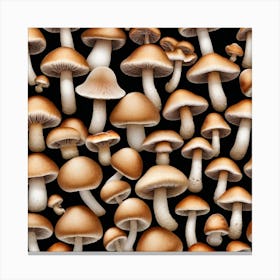 Mushroom On Black Background Canvas Print