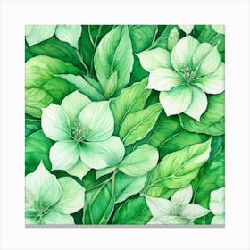 White Flowers On Green Background Canvas Print