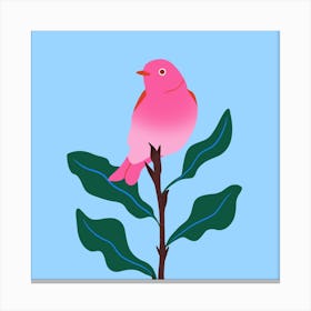 Bird Plant Square Canvas Print