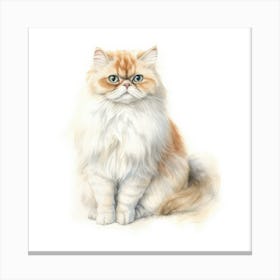 British Longhair Persian Cat Portrait 1 Canvas Print
