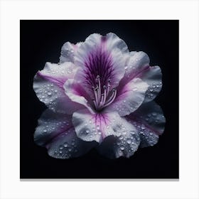 Purple Azalea Flower Canvas Print