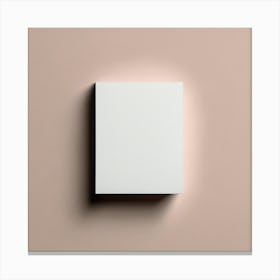 White Box On A Pink Wall Canvas Print