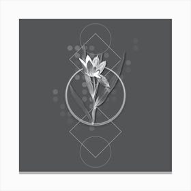 Vintage Tulipa Oculus Colis Botanical with Line Motif and Dot Pattern in Ghost Gray n.0396 Canvas Print
