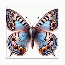 Butterfly of Neolycaena argali Canvas Print