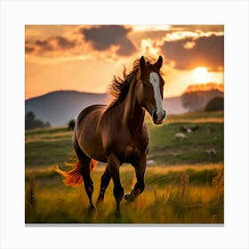 Grass Wild Horse Pasture Sun Romanian Horse Country Calf Rural Farm White Cloud Nature (1) Canvas Print