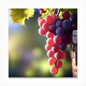 Grapes In A Barrel Canvas Print