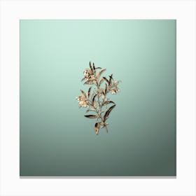 Gold Botanical Blue Narrow Leaved Sollya on Mint Green n.0712 Canvas Print