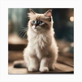 Cat With Blue Eyes 2 Canvas Print