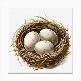 Bird'S Nest Canvas Print