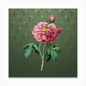 Vintage Gallic Rose Botanical on Lunar Green Pattern n.0132 Canvas Print