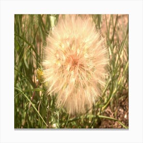 Fleur Black Montain Canvas Print