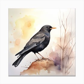 Blackbird Watercolour Canvas Print