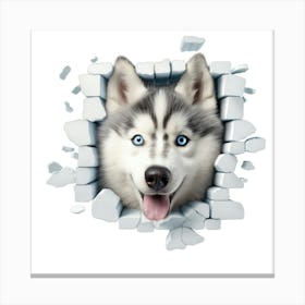 Husky Dog 1 Canvas Print