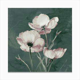 Poppies Canvas Print