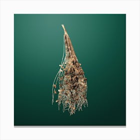 Gold Botanical Normal Spadice of the Palm on Dark Spring Green n.0475 Canvas Print