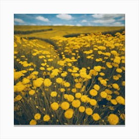 Yellow Flowers In A Field 12 Canvas Print