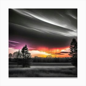 Sunset In The Field Canvas Print