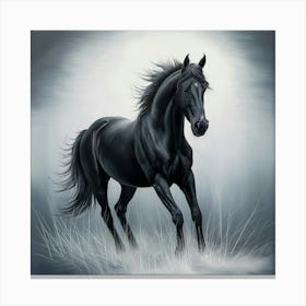 Black Horse Canvas Print