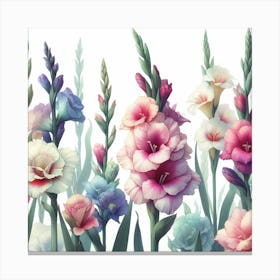 Gladioli Canvas Print