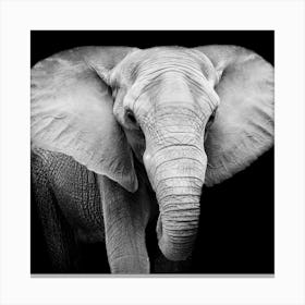 Black And White Elephant Canvas Print