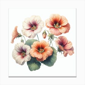 Flowers of Nasturtium Canvas Print