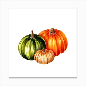 Three Pumpkins Canvas Print