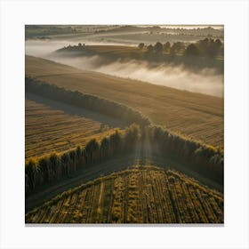 Aerial View Of A Foggy Morning Canvas Print