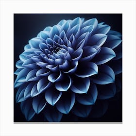 Dahlia Canvas Print