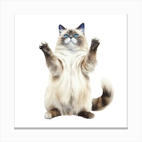 Kitty Cat 1 Canvas Print